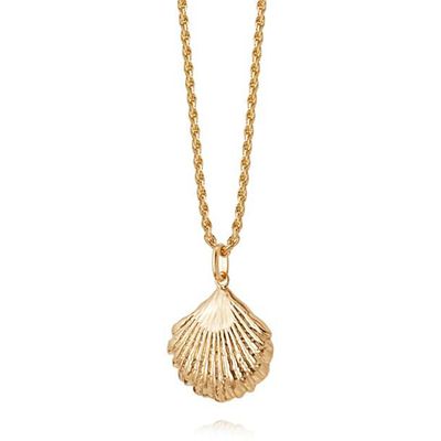 Isla Large Shell Necklace from Daisy London 