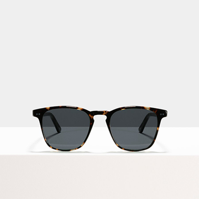 Hudson Sunglasses In Sugar Man