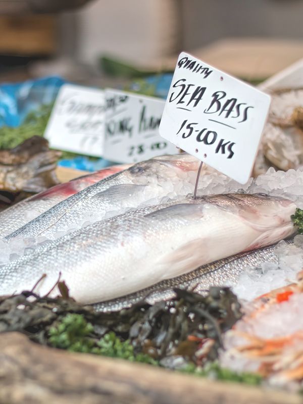 Everything To Know About Buying White Fish