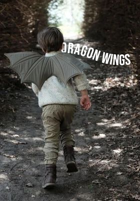 Dragon-Wings-Costume from Fablelab