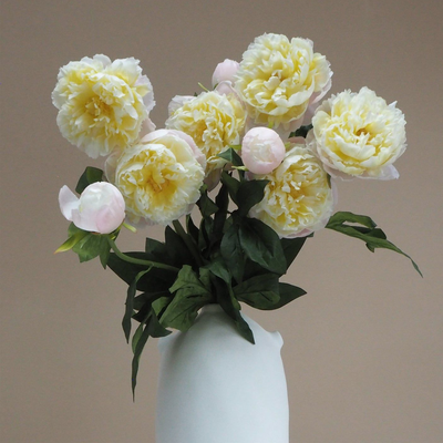 Chinese Peony Midi Bunch