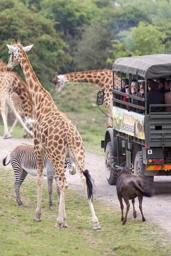 Port Lympne, Kent