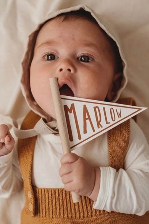 Personalised Mini Pennant Name Flag from The Wood Cove