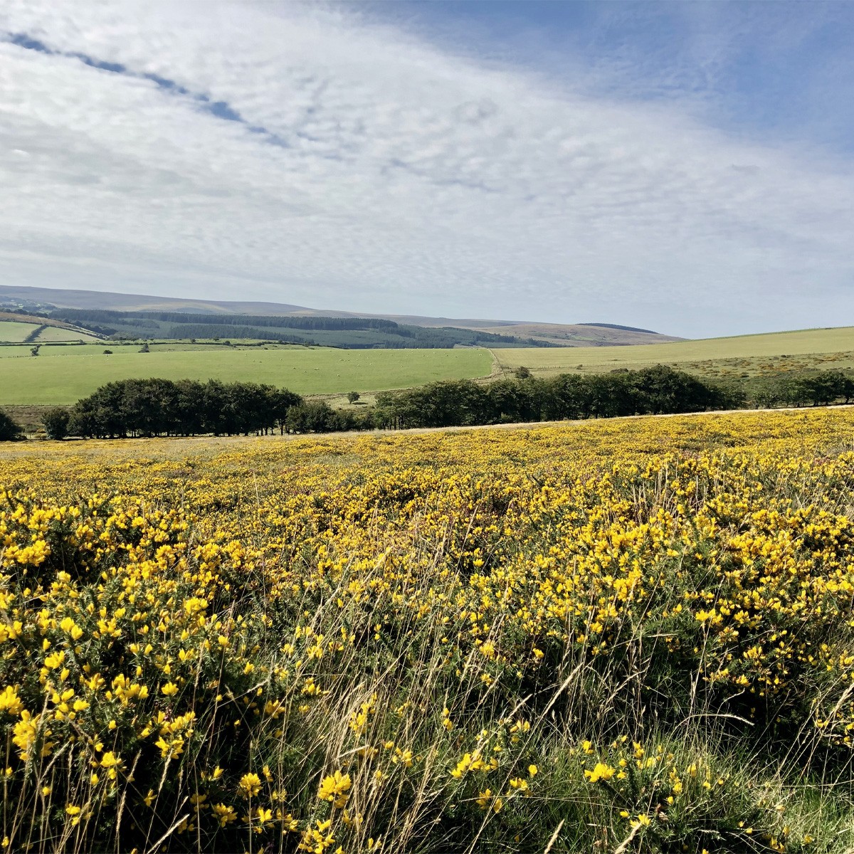 12 Walking Holidays in the UK