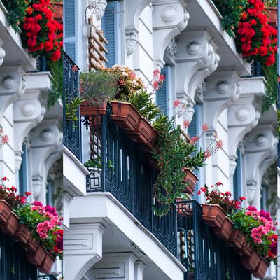 How To Plan A Balcony Garden