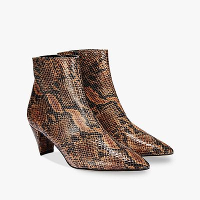 Colyton Tan Snake Print Ankle Boot from Finery