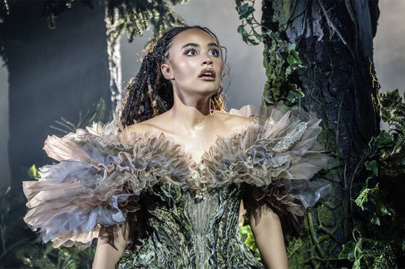 Into The Woods