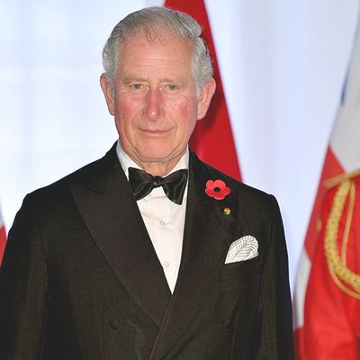 9 Things We Loved From The New Prince Charles Documentary
