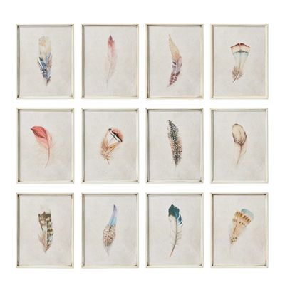 Set Of 12 Multi Feather Prints from Oka