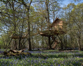 Rewilding Estate Treehouses