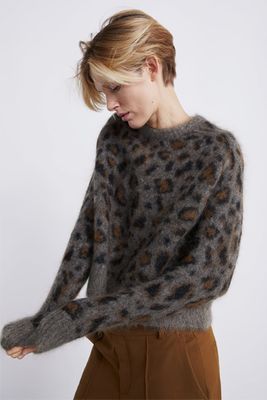 Animal Sweater from Zara