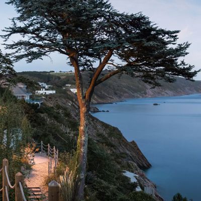 13 New Openings In Cornwall To Book Now