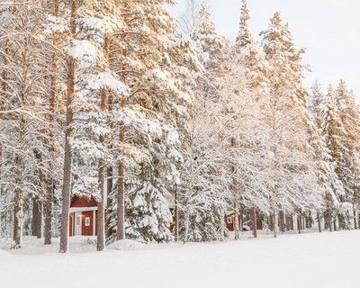 Loggers Lodge