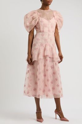 Floral-Embroidered Organza Midi Dress from Erdem