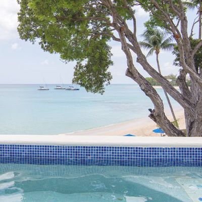 6 Ways To Do Barbados