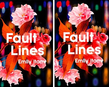 Fault Lines by Emily Itami