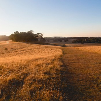 12 Boxing Day Walks In And Around London