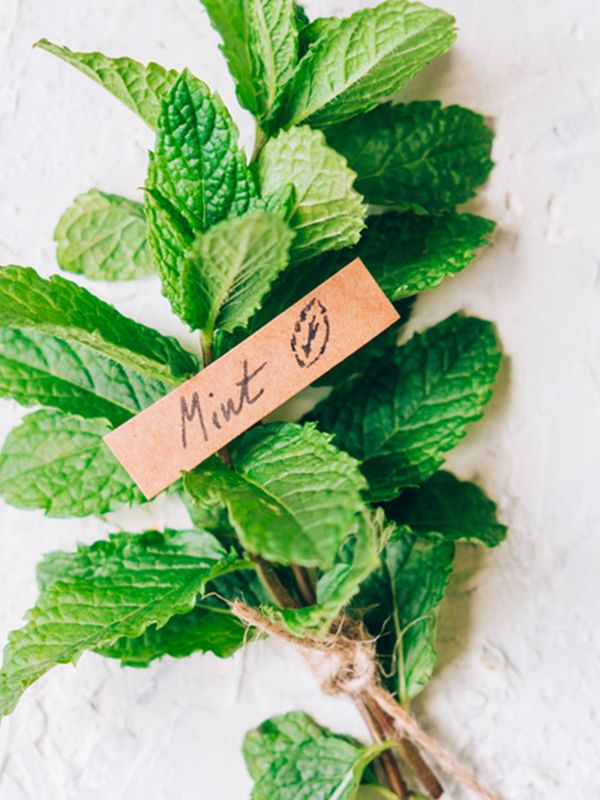 How To Make The Most Of Mint