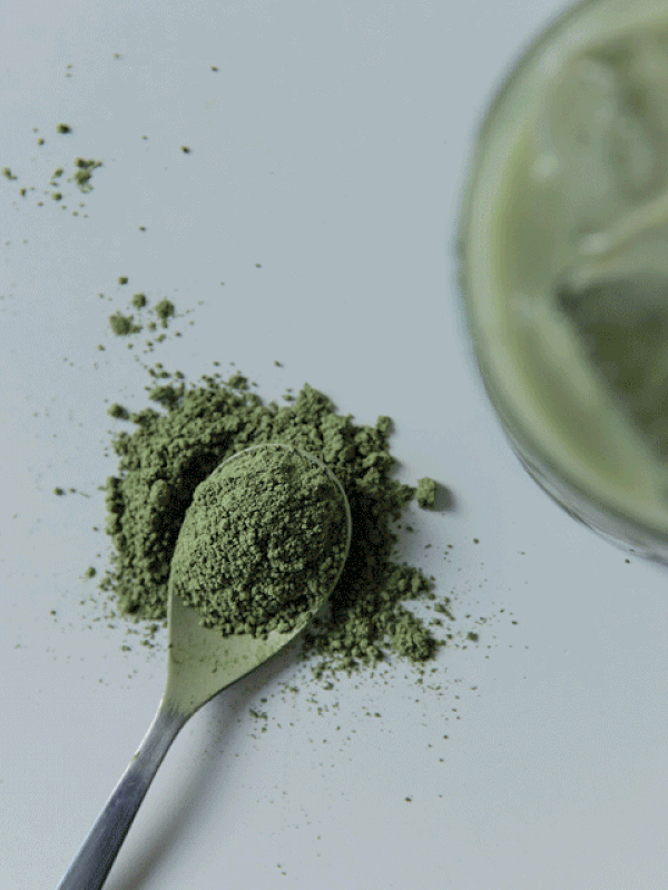 Matcha Vs. Coffee: Which Is Better For You?