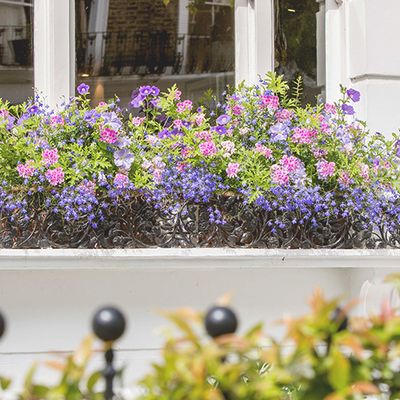 How To Create Beautiful Window Boxes