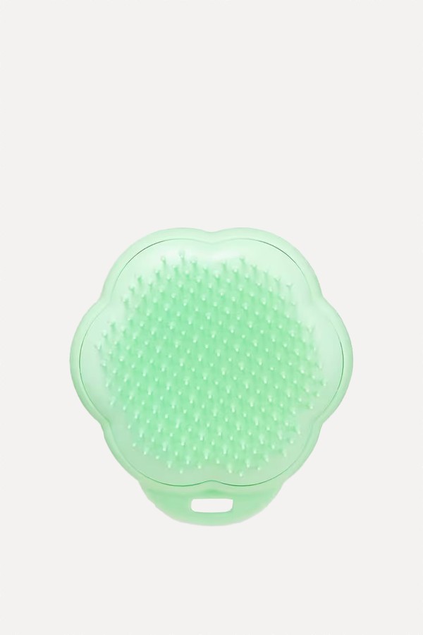 Cat Grooming Brush from Tangle Teezer