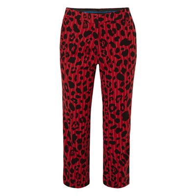 Taylor Leopard-Print Pinstriped Straight-Leg Pants from Koche
