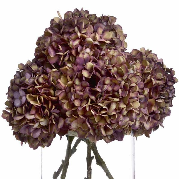 Autumn Burgundy Hydrangea from Lemon Pavilion