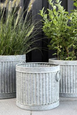 Set Of Three Grooved Zinc Planters from Graham & Green