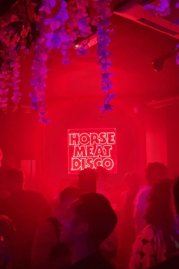 Horse Meat Disco