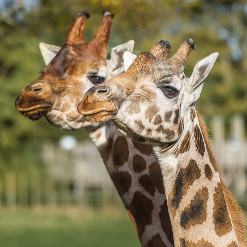 38 Family-Friendly UK Day Trips To Book Now