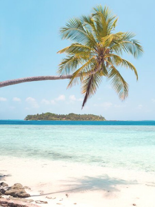 12 Tropical Beauty Products To Help You Fake A Vacation