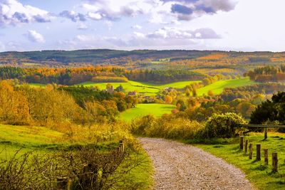 Denbies Hillside, Surrey