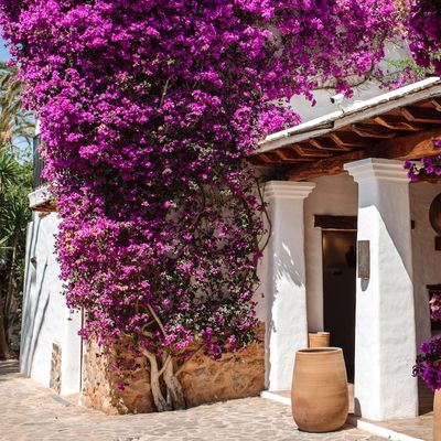 Atzaró: The Place To Stay In Ibiza