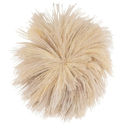 Pampas Grass Juju Hat Wall Art