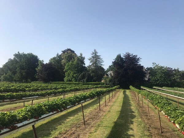 Hawkswick Lodge Farm