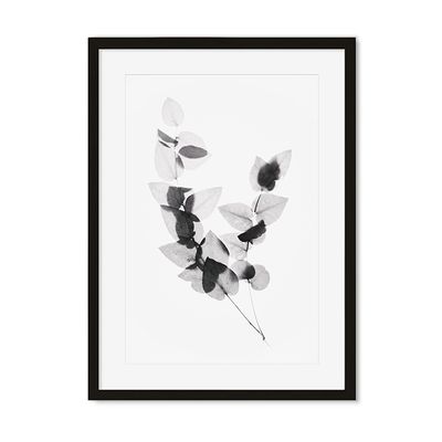 Black & White Branch Print