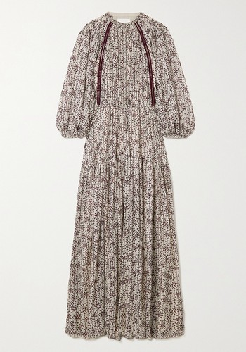 Pleated Floral-Print Silk-Georgette Maxi Dress from Chloe