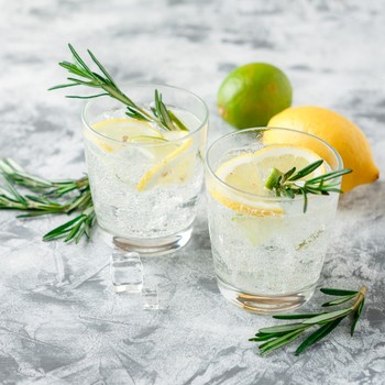 10 Great Gin Cocktails To Make At Home 