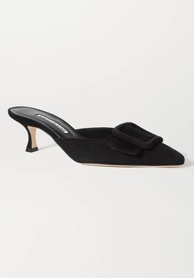 Maysale 50 Buckled Suede Mules from Manolo Blahnik