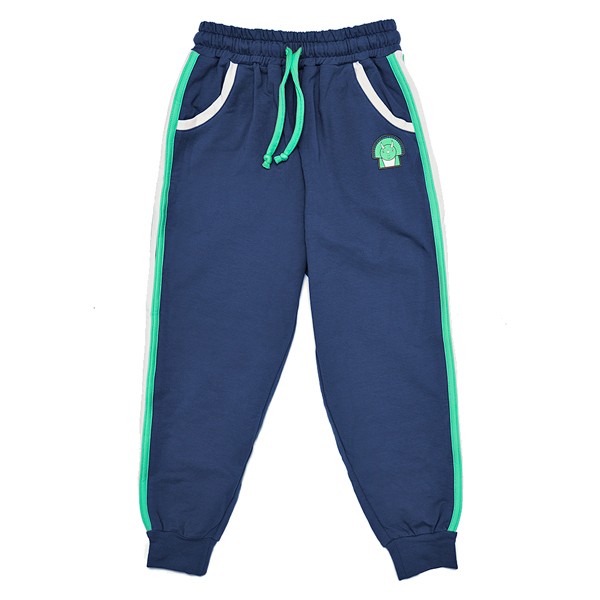 Dinosaur Themed Joggers