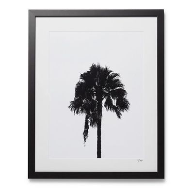 Framed 2017 Palm Tree Print from Sonic Editions