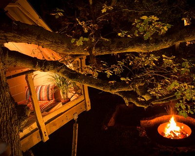 Rewilding Estate Treehouses