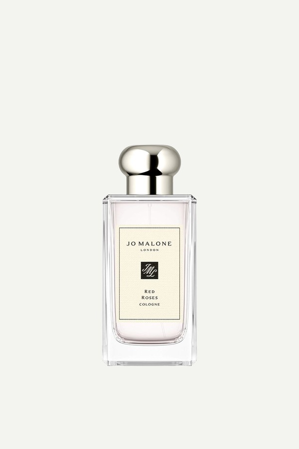 Red Roses Cologne