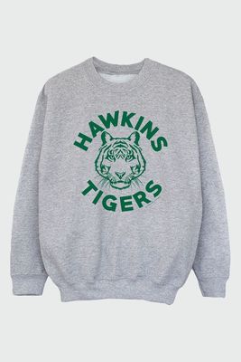 Brands In Netflix Stranger Things Hawkins Tigers Boys Heather Grey Sweatshirt from Next
