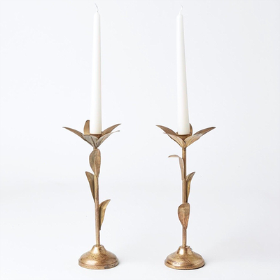 Gold Leaf Tall Candlestick  from Mrs.Alice