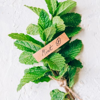 How To Make The Most Of Mint