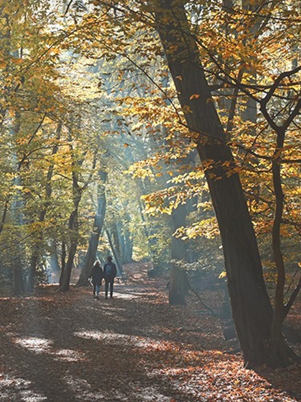 10 Autumnal Walks In Central London