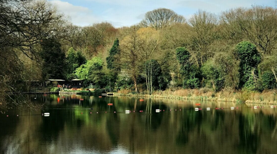 Hampstead Heath Ponds