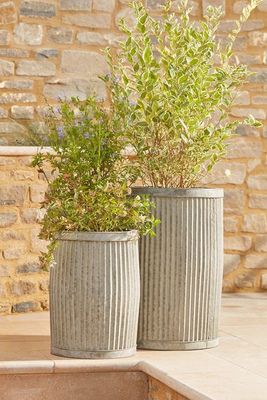 Two Fluted Galvanised Barrel Planters from Cox & Cox