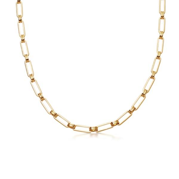 Gold Aegis Chain from Missoma